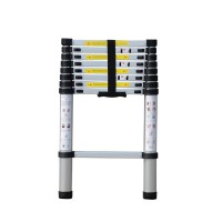 2.6m 9 steps aluminum telescopic ladder ZT-A09